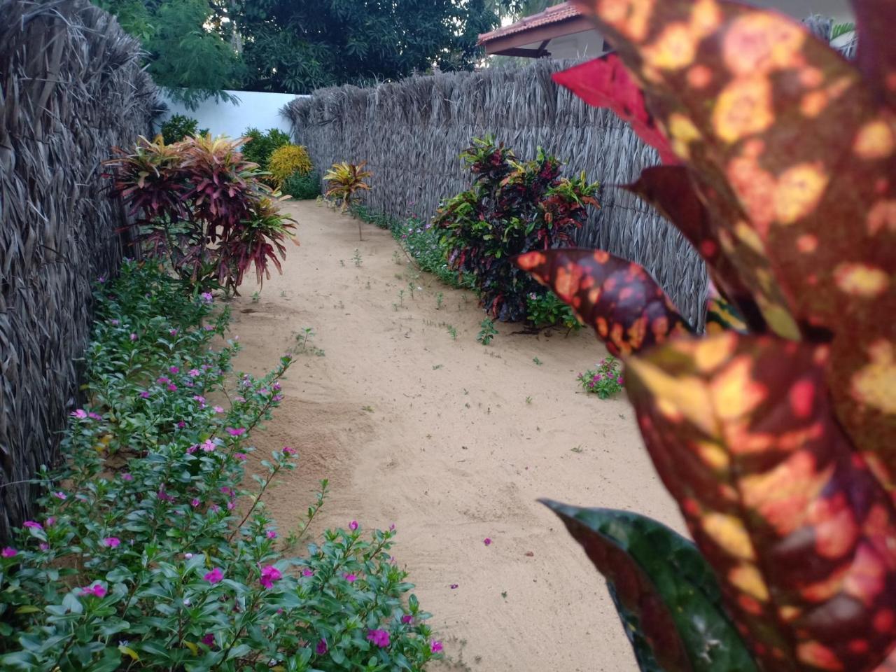Sunset Safari & Resort Kalpitiya Exterior photo